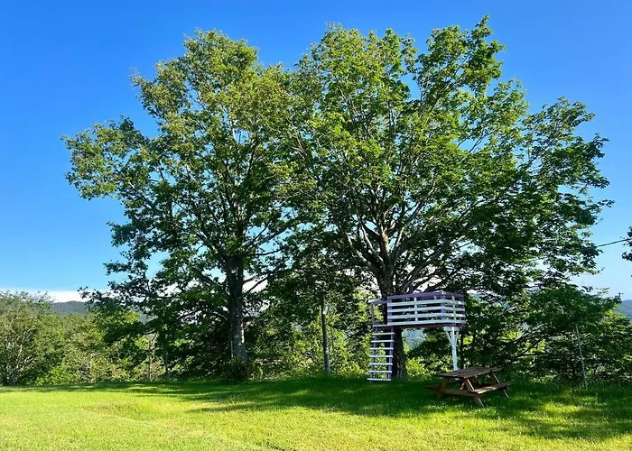 Agriturismo Il Serrino
